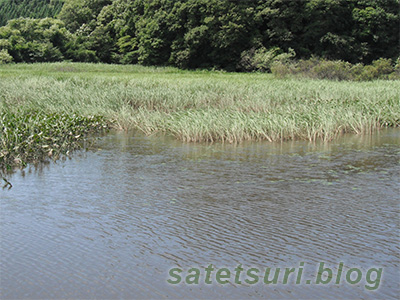 新規開拓で覗いた水が赤い池