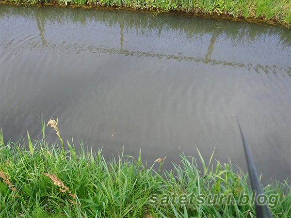 久しぶりの鮒釣りをしたコンクリ水路