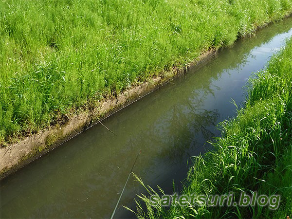 前日とは違うコンクリ水路。