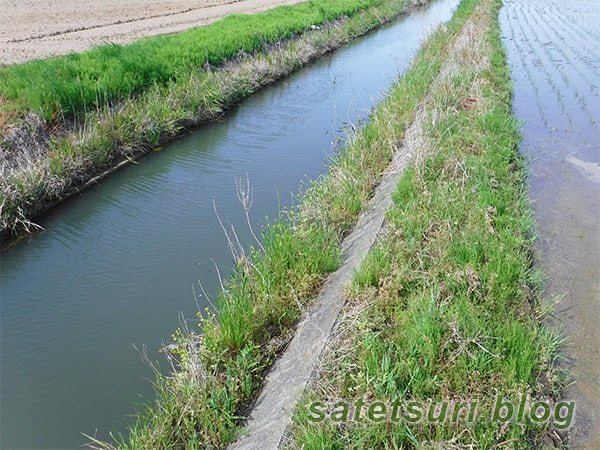 前日の水路