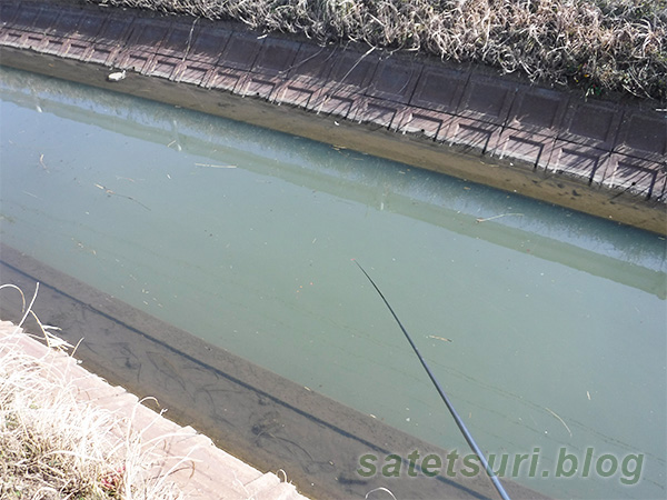 鮒釣りに挑んだ水路