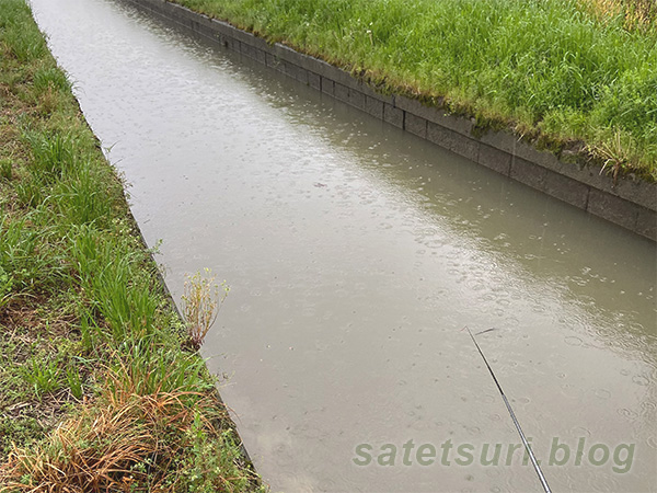 以前鮒釣りをしたコンクリ護岸の川