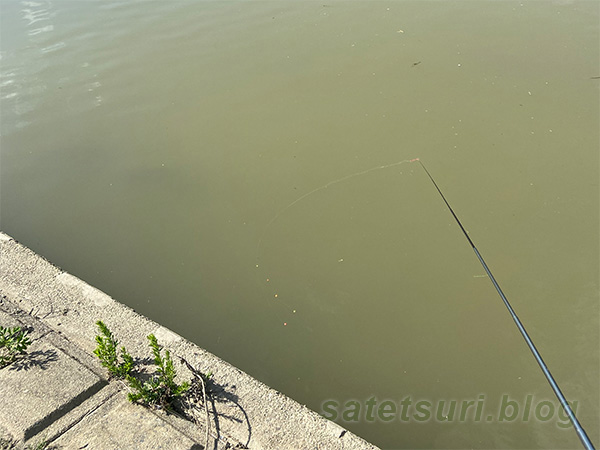 これまでと違って川幅のある場所で鮒狙いの釣り