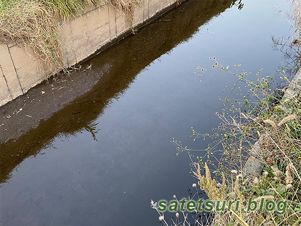 同じ水路の別の場所