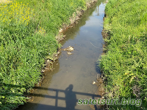 素掘りで良さそうな雰囲気の水路