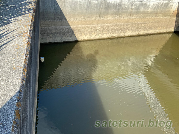 それなりに水があったコンクリ水路