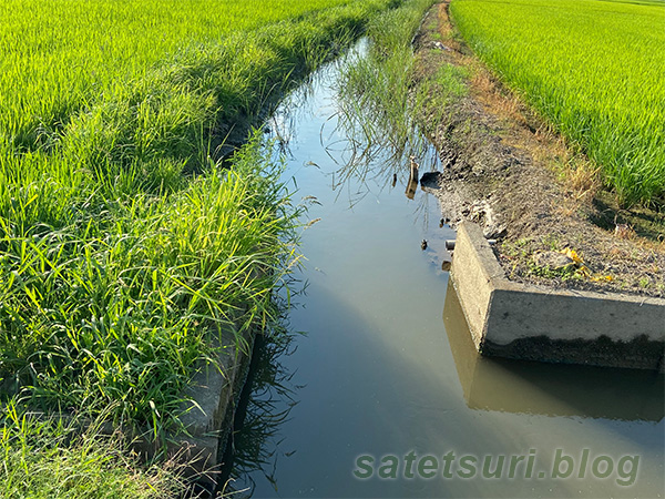 水が入っていい感じの用水路