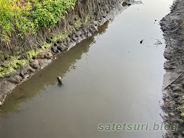 素掘りの水路