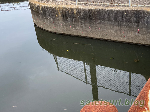 水が入っていい感じの用水路