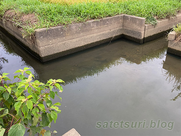 水位が低かったもののあたりは頻発