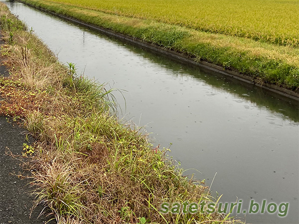 水がたぷたぷの用水路