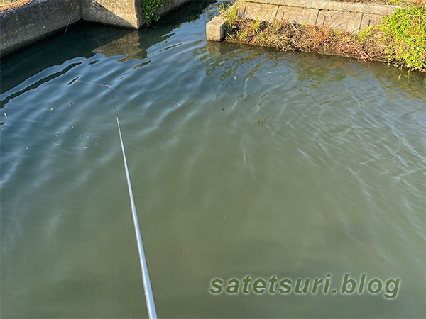 以前に鮒も含め雑魚を釣った水路