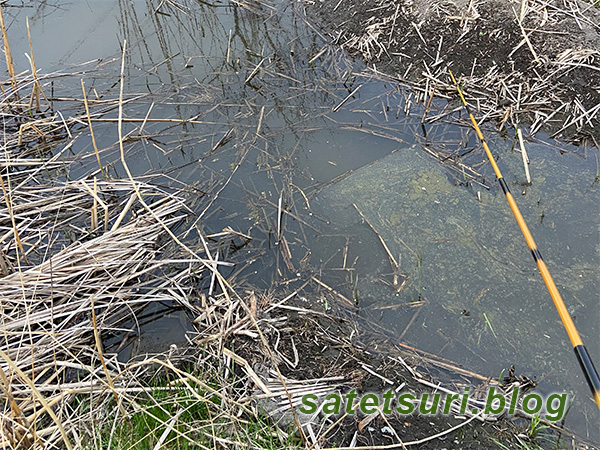 かなり良さげに思えた素掘りの水路