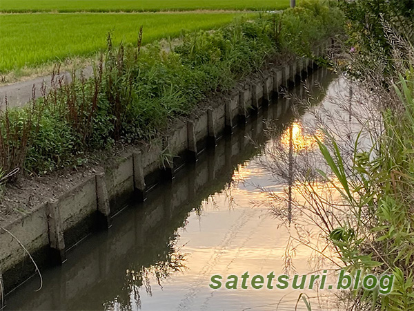 移動先の用水路