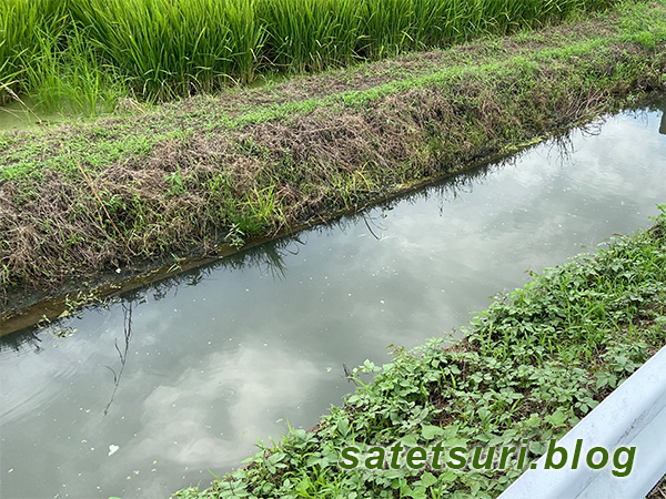 素掘りの水路に見えるコンクリ水路