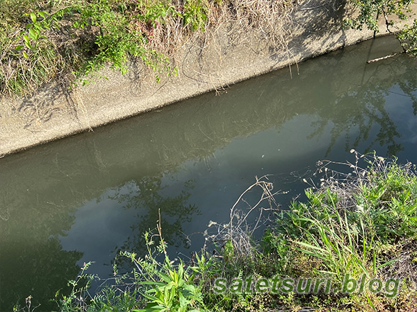 期待していたもののアタリもなかった水路