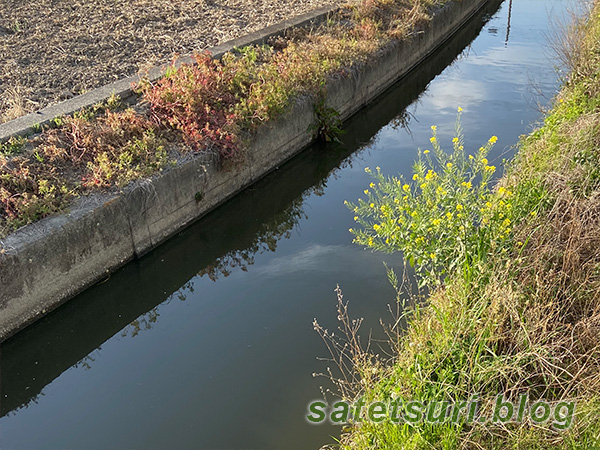 コンクリ護岸の水深のある水路