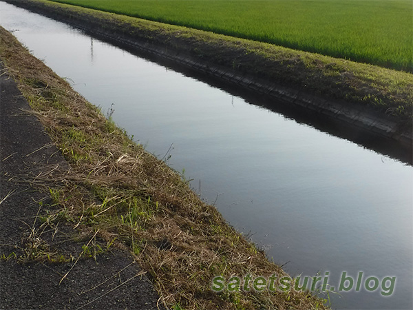 3何年か前にタモロコが入れ喰った水路