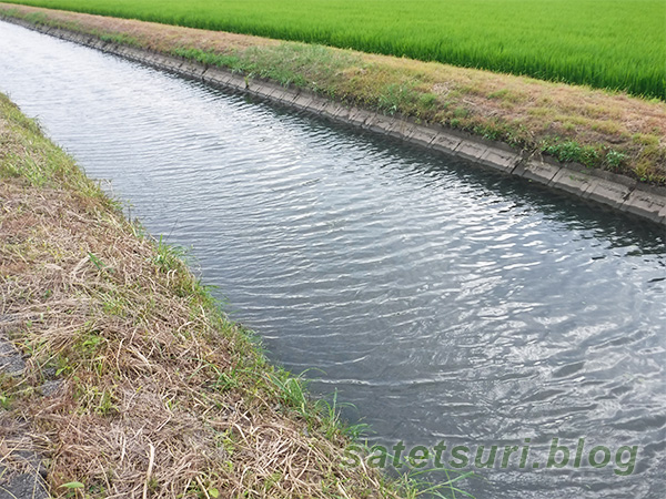 水多めの水路