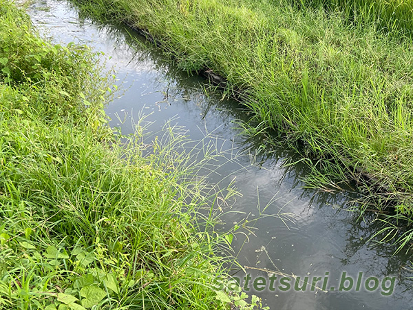 素掘りに見える用水路