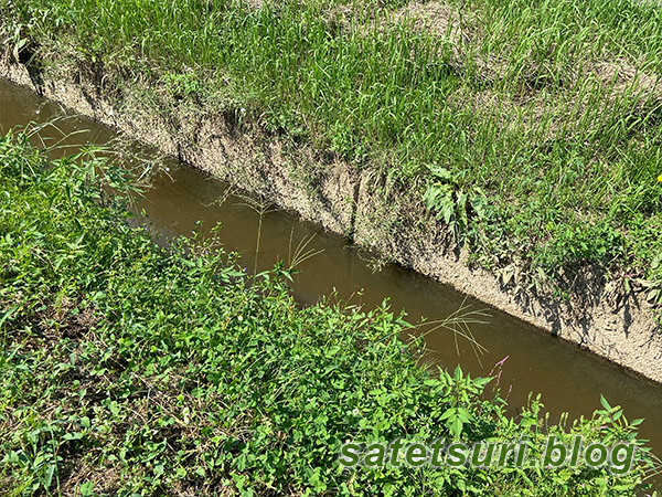 移動した先も良い天気