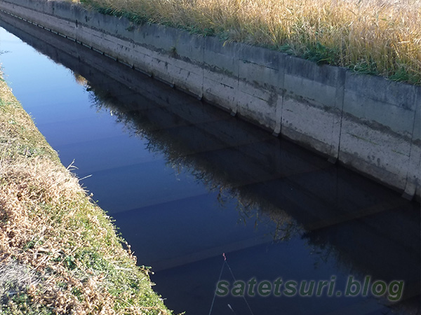 雑魚を確認済みのコンクリ水路