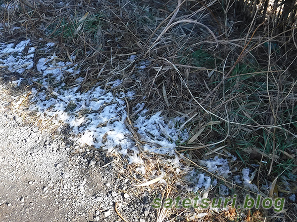 日陰に残った雪