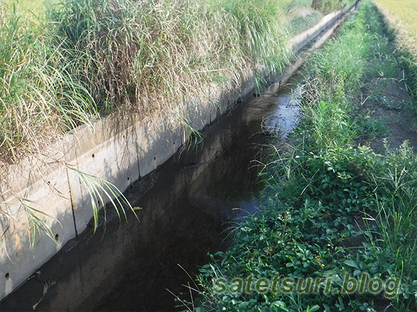 田んぼの中の用水路